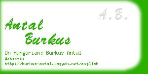 antal burkus business card